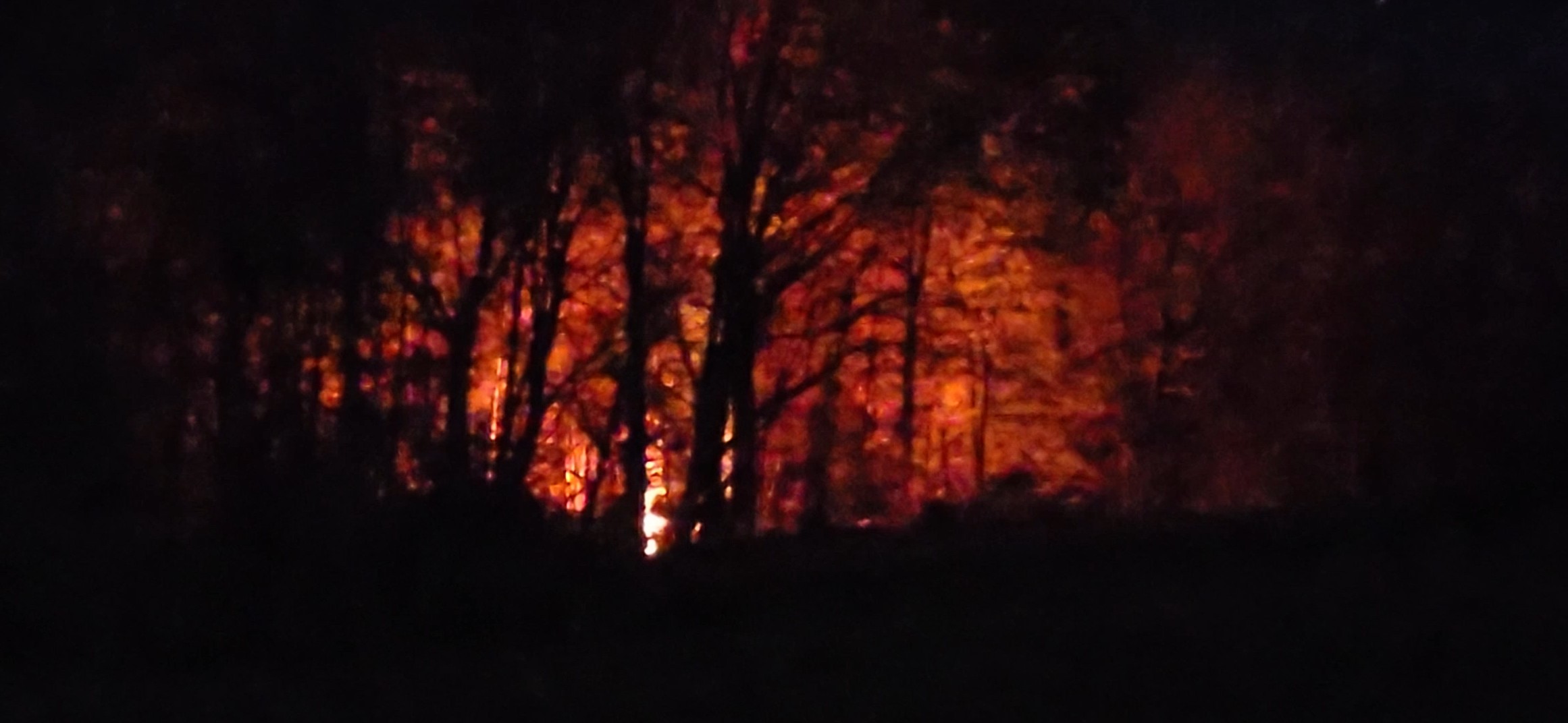 Open-pit fire burning at night behind the treeline on Old Williamstown Road